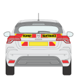 DS4